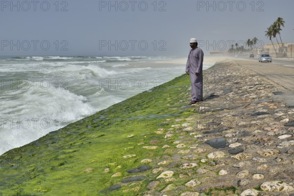 Local man watching the surf at the corniche of Salalah during the monsoon season, or Khareef