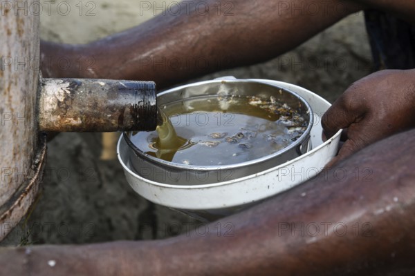 Bee keepers working in a bee farm near a masturd field in a village in Barpeta district of Assam in