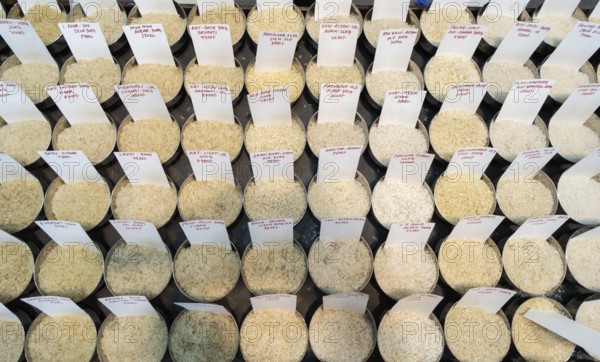 Samples of pulses kept on display inside a shop at a wholesale market ahead of the presentation of