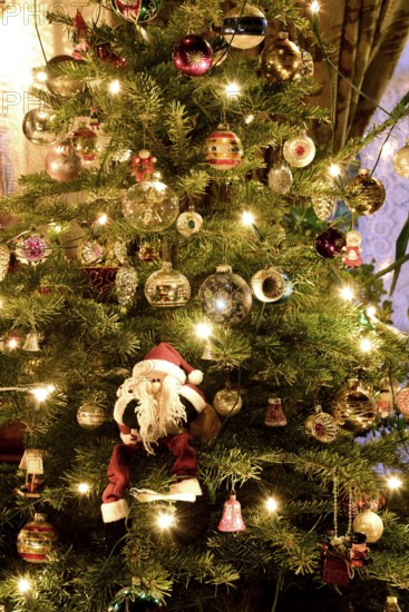 Europe, Germany, Christmas tree, Christmas tree in living room, Christmas, traditional tree