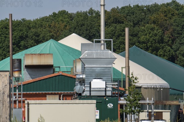 Biogas plant, combined heat and power plants, for power generation, dome-shaped gas storage