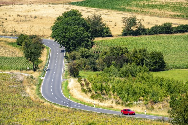 Country road, with car, sunflower field south-east of Nideggen, in the Rureifel, North