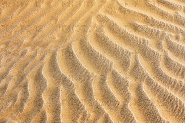 Wind-sculpted sand structure in the Rub al Khali desert, Dhofar province, Arabian Peninsula,