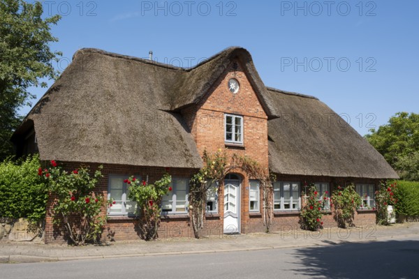 Frisian house, thatched house, Alkersum, Föhr, North Sea island, North Frisia, Schleswig-Holstein,