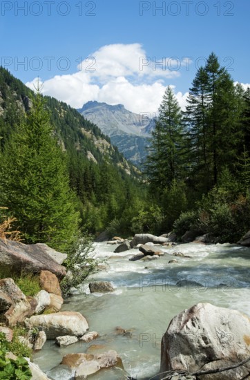 Laggina River in the Laggintal, Simplon region, Valais, Switzerland, Europe