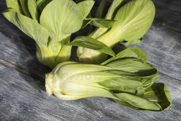 Fresh green bok choy or pac choi chinese cabbage on a gray wooden background. Hard light, contrast.