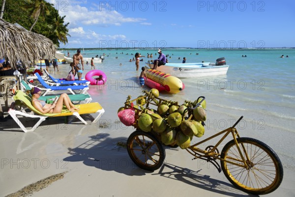 Caribbean beach with clear water, coconut sales and tourists sunbathing, Boca Chica, Santo Domingo