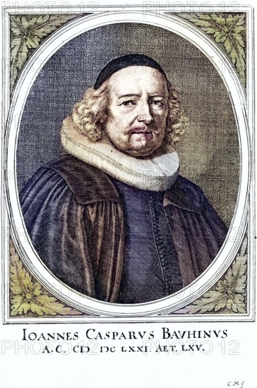 Johann Caspar Bauhin (born 12 March 1606 in Basel, died 14 July 1685 in Basel) was a Swiss