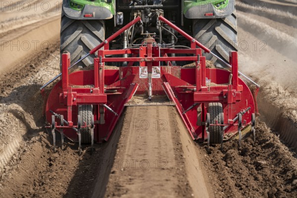A farmer builds asparagus ridges on a field with the help of an asparagus tiller, in which the