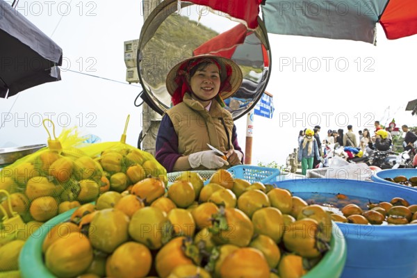 Vietnamese woman peeling khaki fruit at Heavens Gate, Ha Giang province, Vietnam, Asia