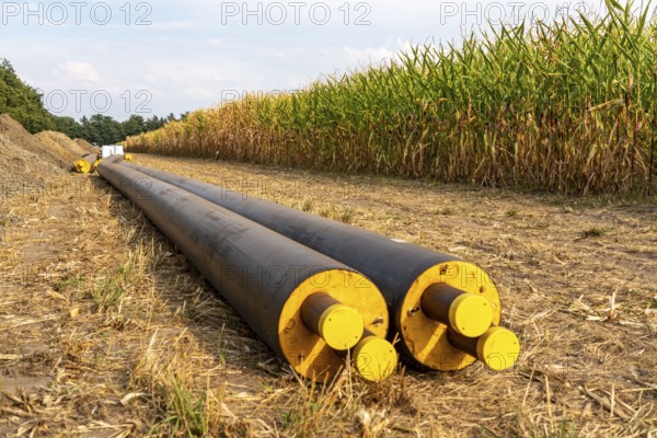Laying of district heating pipes, next to a field, with maize, the district heating comes from a