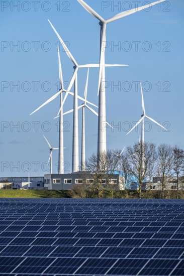 Vopak Solarpark Eemshaven, 19 hectares of solar modules with a capacity of 25 megawatts, around the
