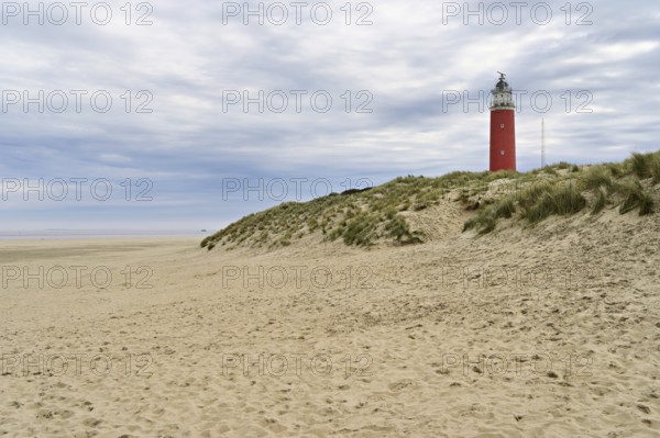 Eierland lighthouse with dunes, De Cocksdorp, Texel, West Frisian Islands, Province of North