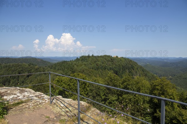 Cross-border castle hike in the Palatinate Forest-North Vosges biosphere reserve: View from