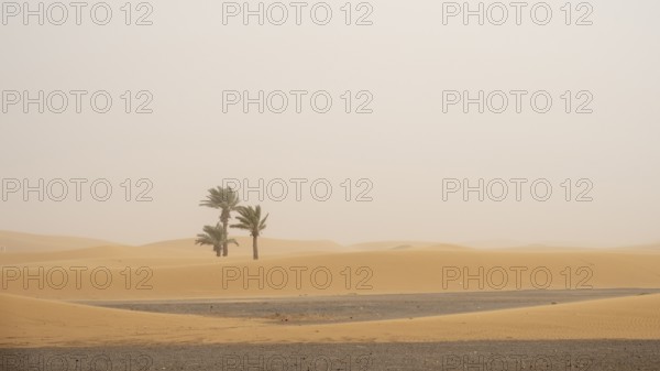 Sandstorm in the desert, dunes, Erg Chebbi, Sahara, Merzouga, Morocco, Africa
