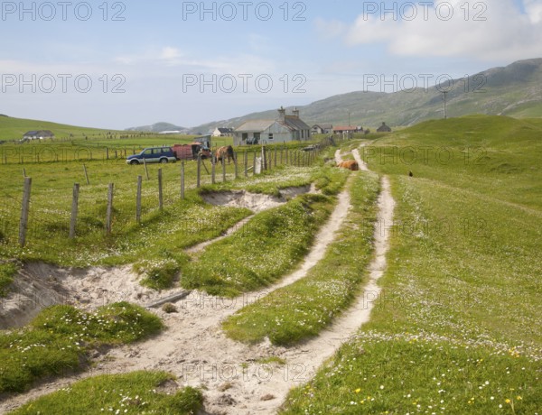 Machair grassland and croft houses on Vatersay island, Barra, Outer Hebrides, Scotland, UK