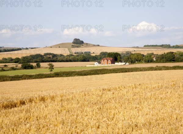 Summer landscape in the Vale of Pewsey view north east to Woodborough Hill, near Alton Barnes,