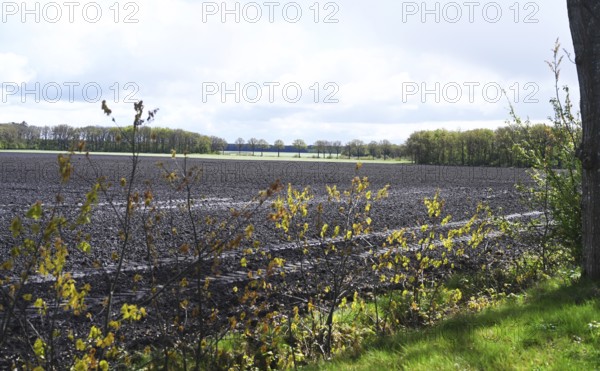 NL, Eesergroen: Spring characterises the landscape, towns and people in the province of Drenthe in
