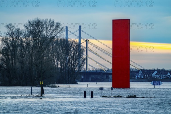 Flood on the Rhine near Duisburg, Rhine bridge Neuenkamp, old and new construction, landmark Rhine