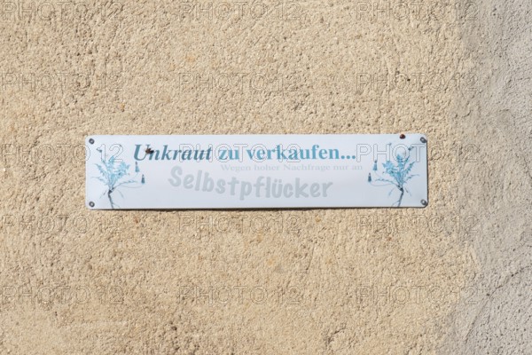 Sign on a garden shed, weeds for sale..., Mainbernheim, Lower Franconia, Bavaria, Germany, Europe