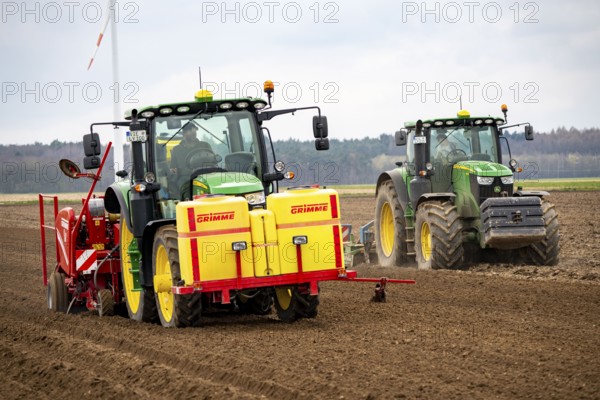 Early potatoes are placed in the soil of the field with a planting machine, Agriculture, Spring