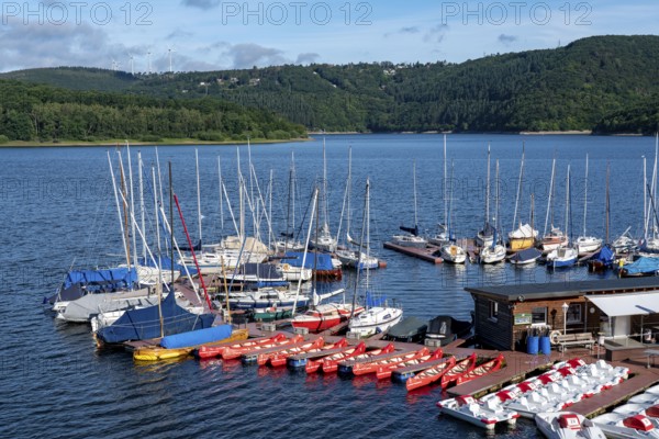 Lake Rursee, reservoir in the Eifel National Park, north-east bank near Heimbach, near the Rur dam