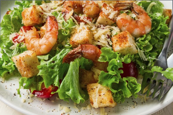 Caesar salad, with shrimp, on a white background, homemade, no people