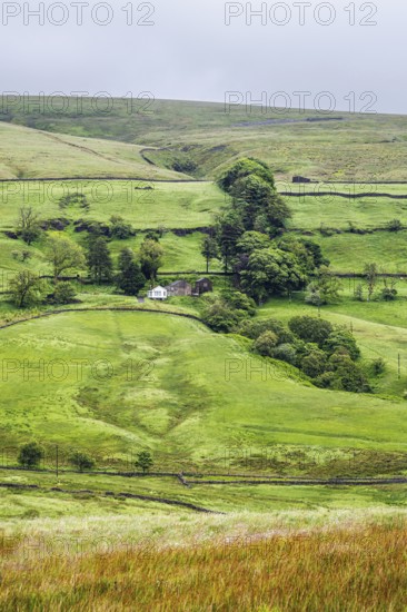Farms in Yorkshire Dales National Park, North Yorkshire, England, United Kingdom, Europe