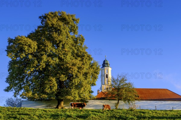 Reutberg Monastery, Sachsenkam, Tölzer Land, Alpine foothills, Upper Bavaria, Bavaria, Germany,