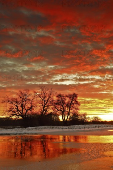 Winter floods 2024 on the Elbe and Mulde rivers with flooding of the meadows, ice on the meadows