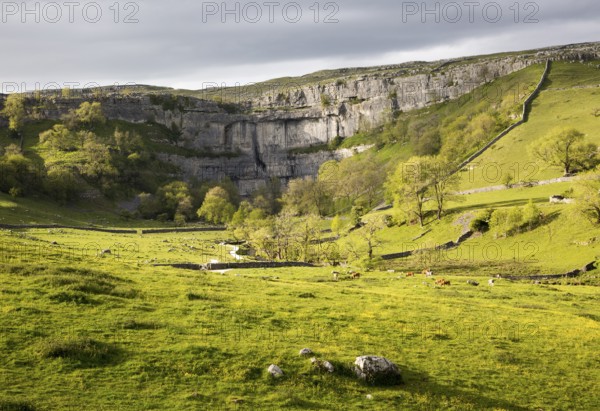 Malham Cove, Yorkshire Dales national park, England, UK