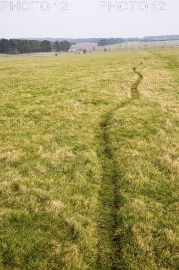 Field view of faint embankment lines 5, 500 years old Stonehenge Cursus, Wiltshire, England, UK
