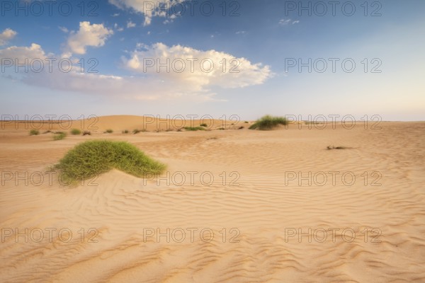 Sand dunes, Wahiba Sands desert, Sharqiya sand, Oman, Asia
