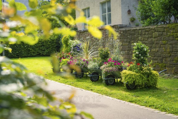A garden path with wheelbarrows full of flowering plants alongside a stone house, Nagold, Black