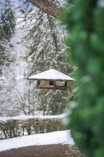 Bird feeder hanging from a tree, surrounded by snow-covered trees and winter atmosphere, spa