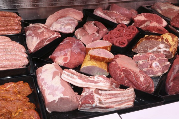 Variation of fine meat products in the butcher's shop