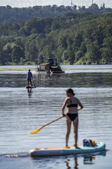 Mowing boat Nimmersatt, of the Ruhrverband, tries to keep the green plant carpet on the Lake