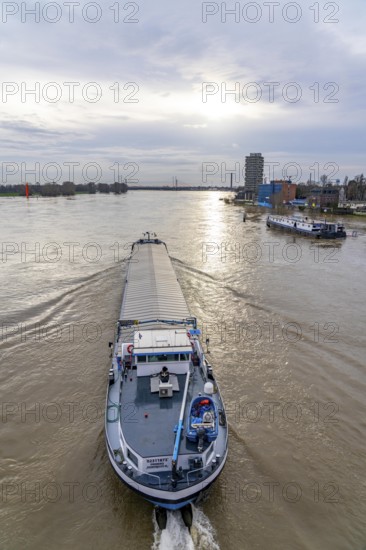 Flood on the Rhine near Duisburg, freighter on the river near Duisburg-Homberg, downstream, heading