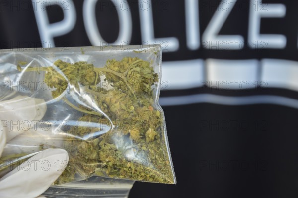 A hand with a disposable glove holds a bag of marijuana flowers. In the background is part of a