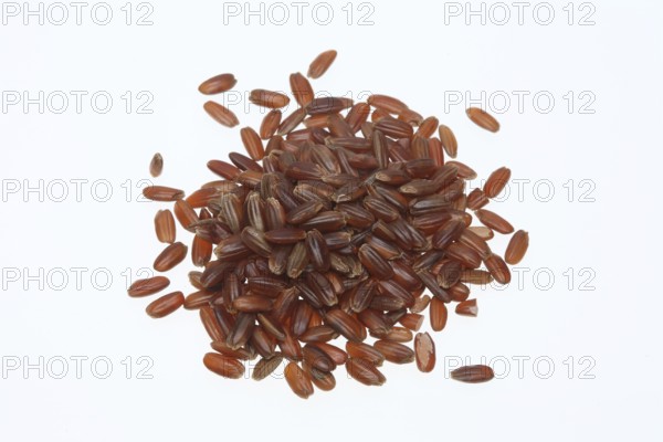 Red rice, Camargue rice from France, rice variety with a red bran layer, usually offered as brown
