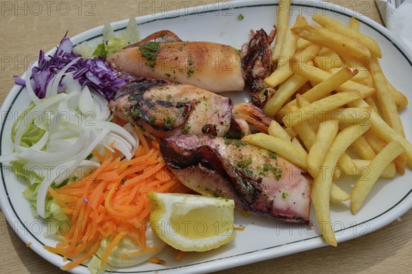 Grilled squid, fries and salad on a plate, Majorca, Balearic Islands, Spain, Europe