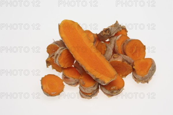 Turmeric (Curcuma longa) or curcume, yellow ginger, saffron root, turmeric, plant species of the