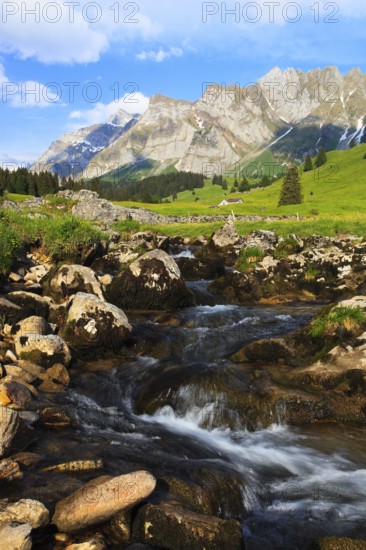 Mountain stream, Alpstein massif with Säntis, Appenzell, Switzerland, Europe