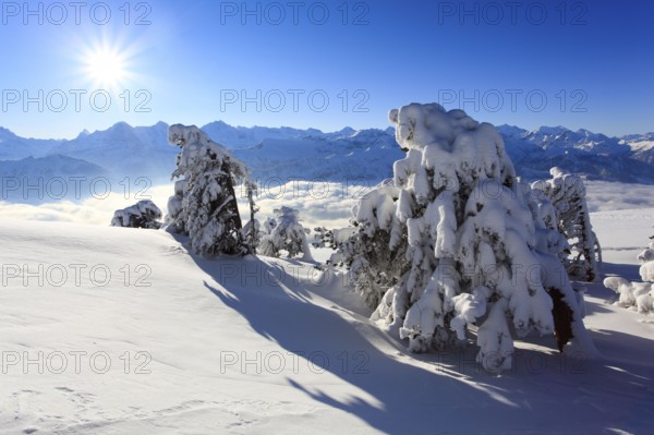 Bernese Alps, View from the Niederhorn, Bernese Oberland, Switzerland, Europe