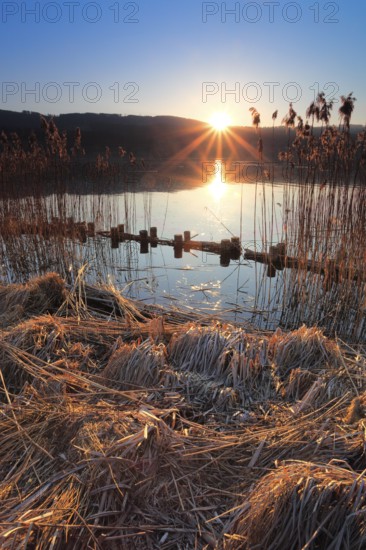 Greifensee, Greifensee nature reserve, Zurich Switzerland