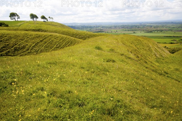 Chalk scarp slope with dry valleys at Roundway Hill, a special place for wildlife, near Devizes,