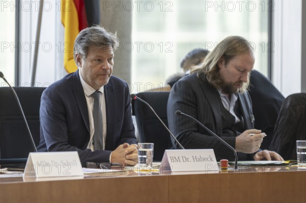 Committee on the Affairs of the European Union, Chairman Dr Anton Hofreiter, Alliance 90/The