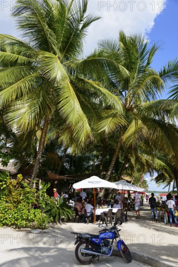 A group of people relaxing in a restaurant under palm trees, beach, Boca Chica, Santo Domingo