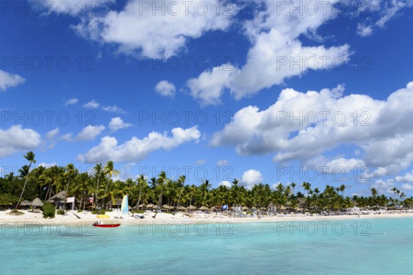 An idyllic beach with clear water under a blue sky, surrounded by palm trees, Palm Beach Dominicus,