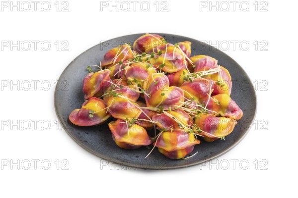 Rainbow colored dumplings with pepper, herbs, microgreen isolated on white background. Side view,